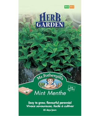 Menthe