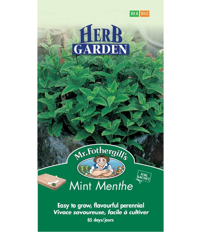 Menthe