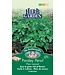 Persil Plain Leaved
