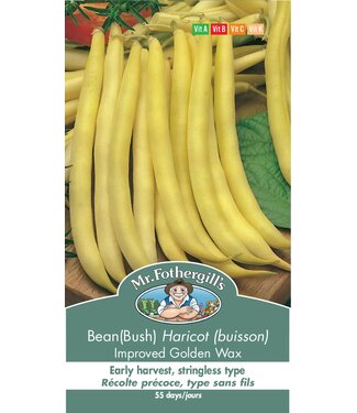 Mr. Forthergill's Haricot (buisson) Ameliore Golden Wax
