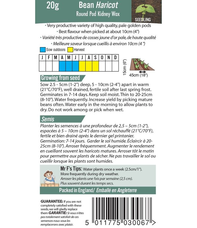 Haricot (buisson) Gousse ronde  Kidney Wax