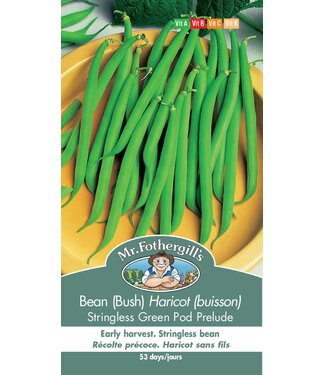 Mr. Fothergill's Haricot (buisson) Stringless Green Pod Prelude