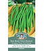 Mr. Fothergill's Haricot (buisson) Stringless Green Pod Prelude