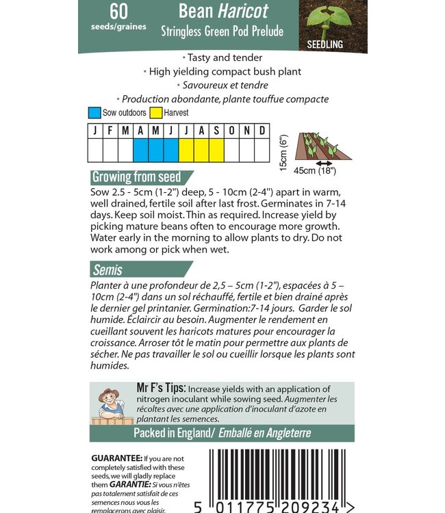 Mr. Fothergill's Haricot (buisson) Stringless Green Pod Prelude
