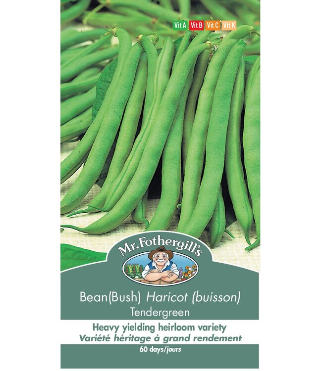 Haricot (buisson) Tendergreen