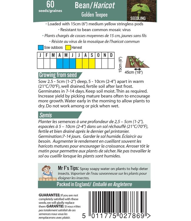 Mr. Fothergill's Haricot (buisson) Golden Teepee