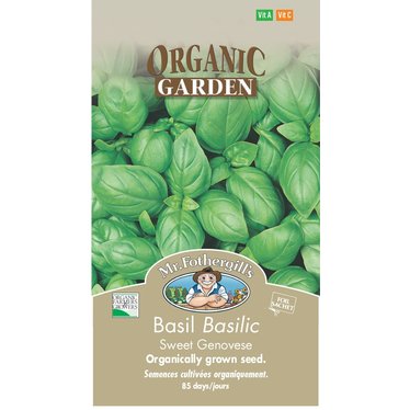 Mr. Forthergill's Basilic Sucre Genovese Bio