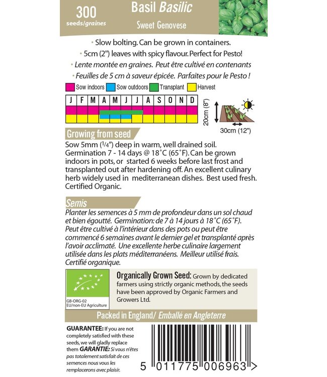 Basilic Sucre Genovese Bio