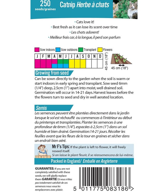 Mr. Fothergill's Herbe à chats