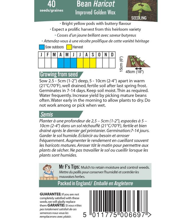 Haricot (buisson) Ameliore Golden Wax
