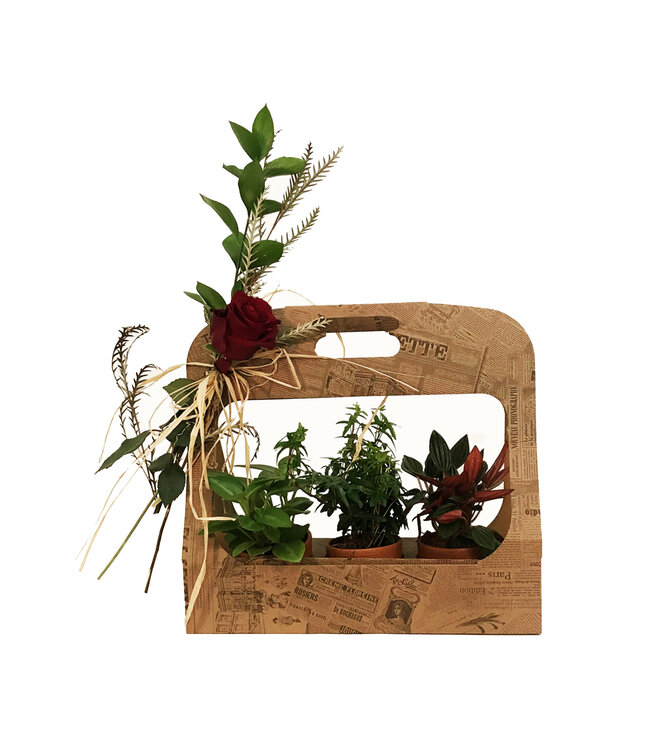 Signé Garneau Romance à trois