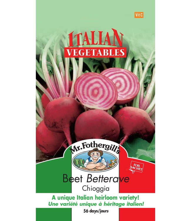 Betterave Chioggia