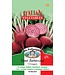 Mr. Forthergill's Betterave Chioggia