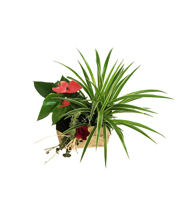 Signé Garneau Duo de l'amour