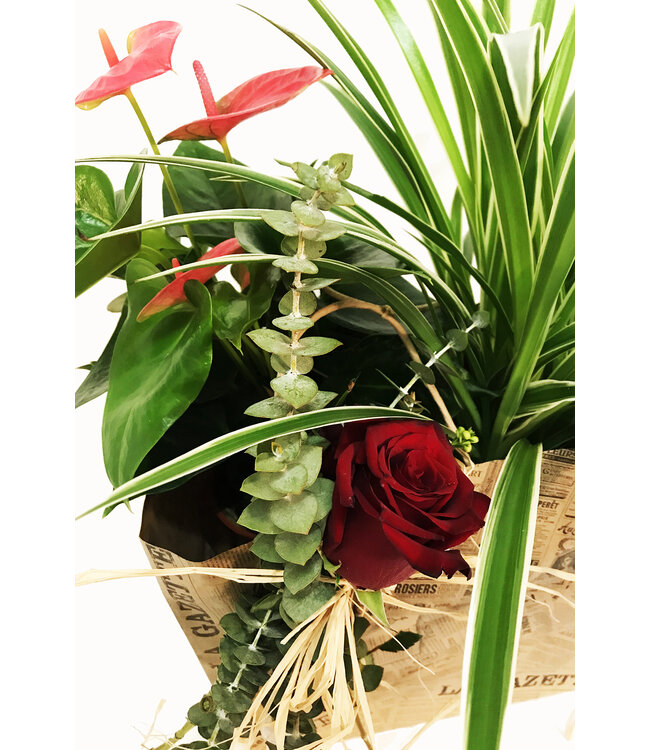 Signé Garneau Duo de l'amour