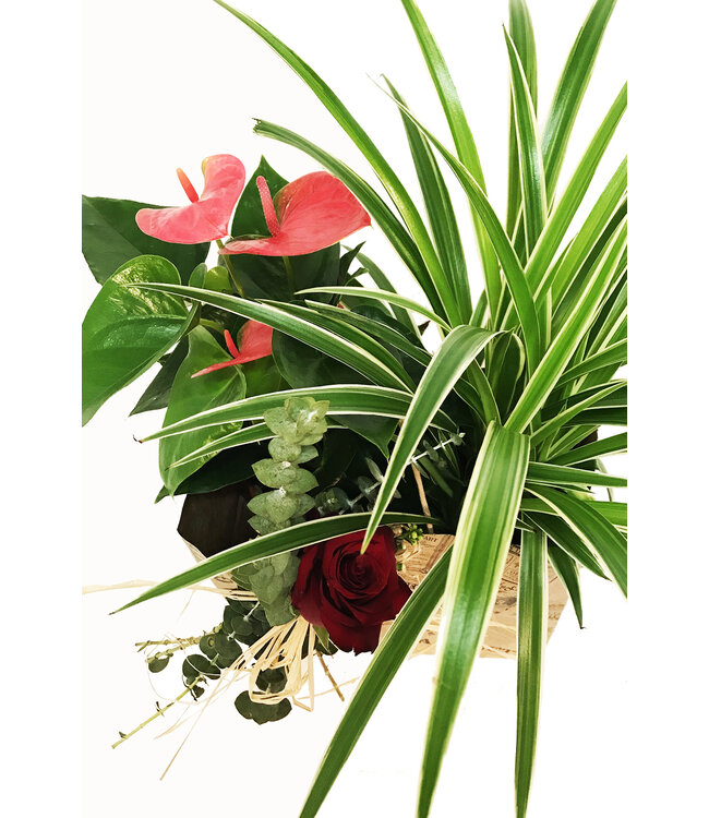 Signé Garneau Duo de l'amour