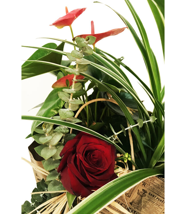 Signé Garneau Duo de l'amour