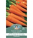 Carotte Autumn King 2