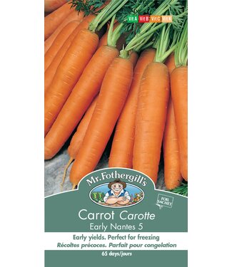 Mr. Fothergill's Carotte early Nantes 5