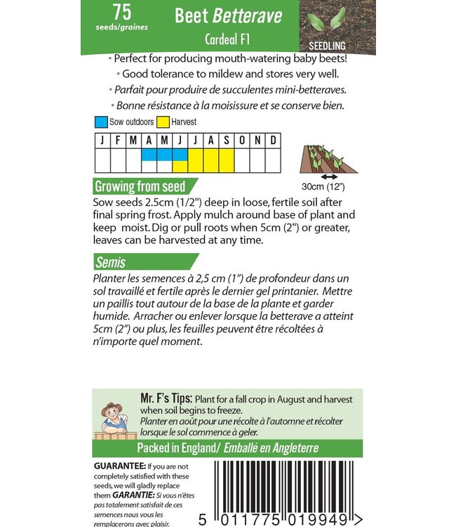 Betterave Cardeal F1