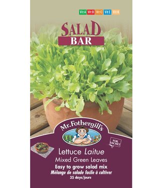 Laitue Mixed Green Leaves