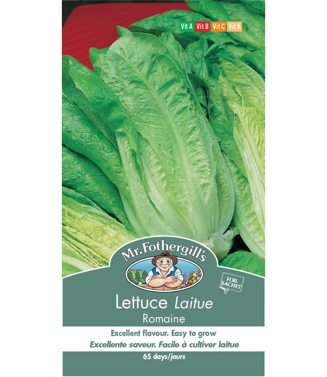 Laitue Romaine