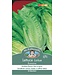 Laitue Romaine