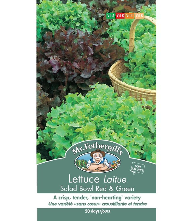 Laitue Salad Bowl Red & Green