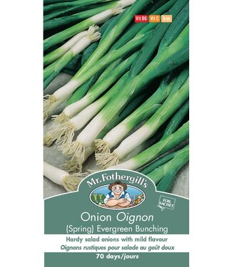 Mr. Fothergill's Oignon (Spring) evergreen Bunching