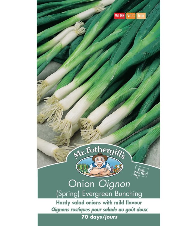 Oignon (Spring) evergreen Bunching