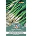 Mr. Fothergill's Oignon (Spring) evergreen Bunching