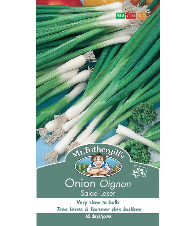 Oignon Salad Laser