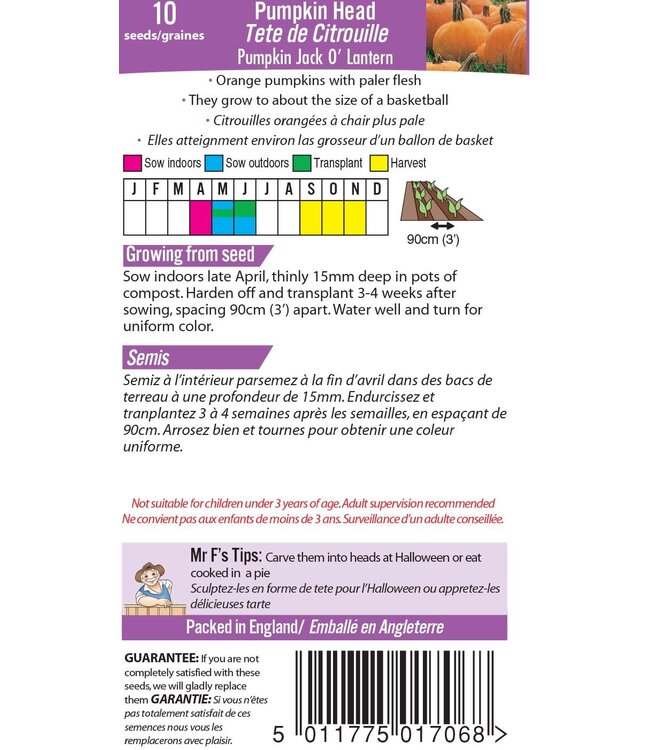 Tete de Citrouille Pumpkin Jack O’ Lantern