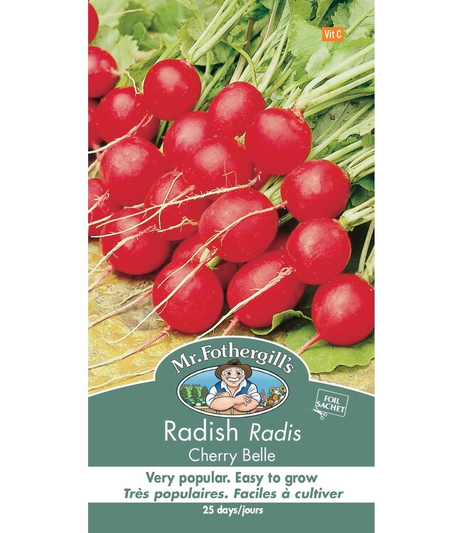Radis Cherry Belle
