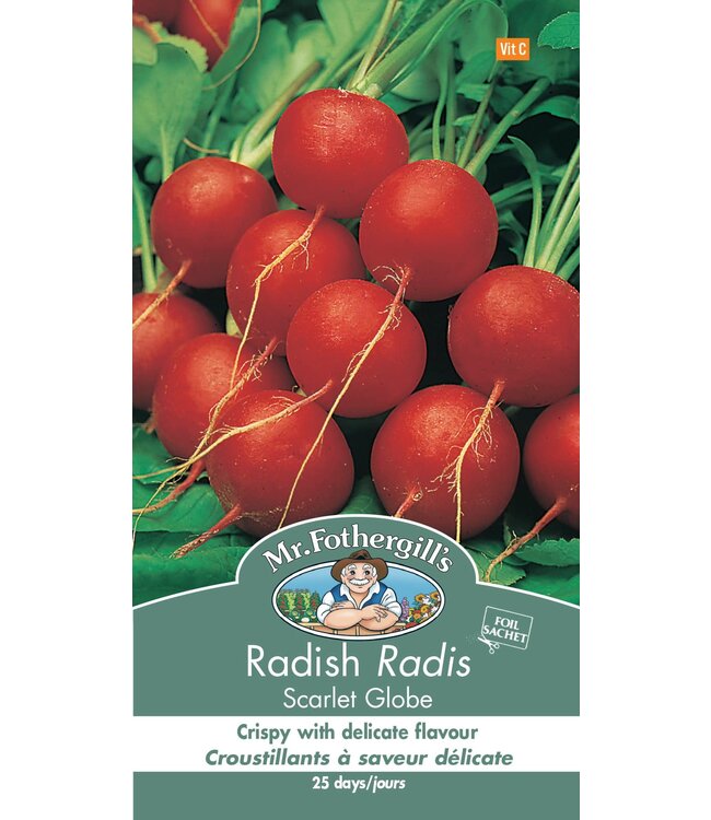 Radis Scarlet Globe
