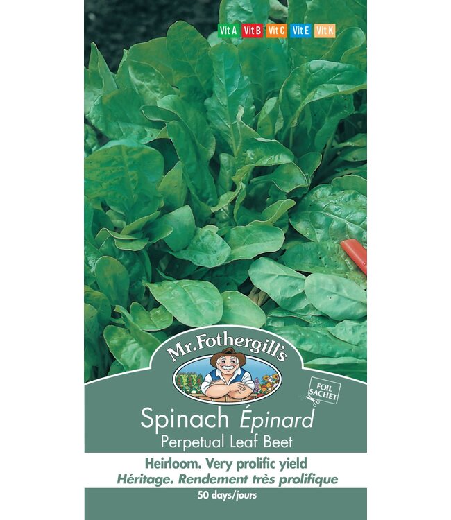Épinard Perpetual Leaf Beet