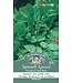 Mr. Forthergill's Épinard Perpetual Leaf Beet
