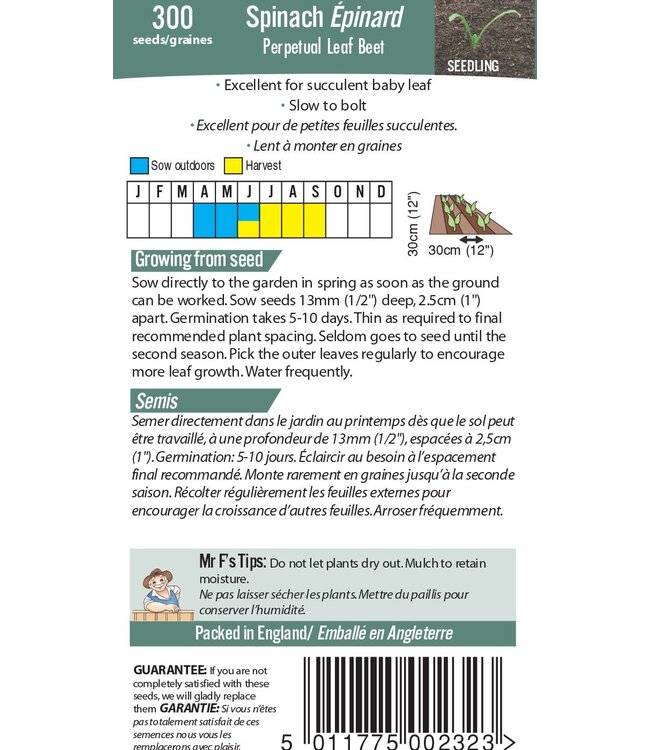 Mr. Forthergill's Épinard Perpetual Leaf Beet