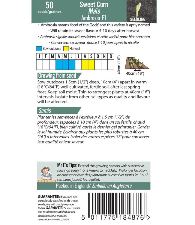 Maïs Ambrosia F1