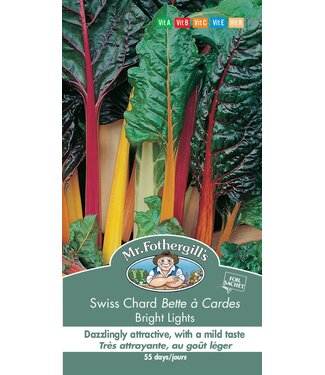Mr. Forthergill's Bette à Cardes Bright Lights