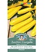 Mr. Fothergill's Courgette Yellow Zucchini