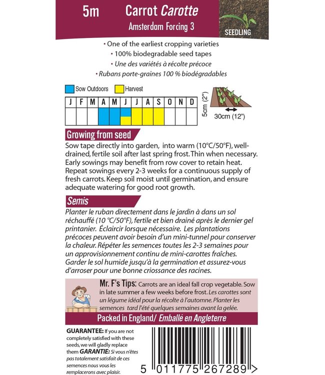 Carotte Amsterdam Forcing 3 - Rubans