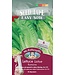 Mr. Forthergill's Laitue Romaine - Rubans
