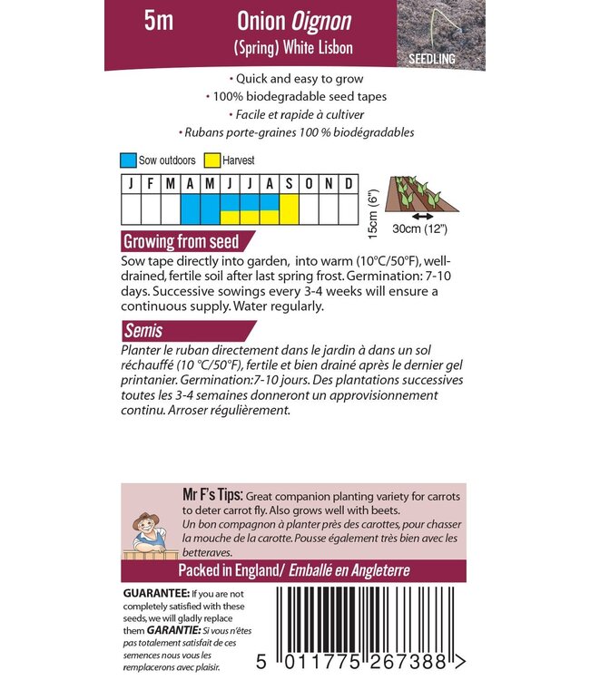 Mr. Forthergill's Oignon (Spring) White Lisbon - Rubans