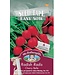 Mr. Forthergill's Radis Cherry Belle - Rubans