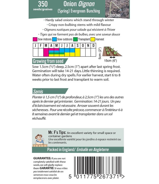 Mr. Fothergill's Oignon (Spring) evergreen Bunching