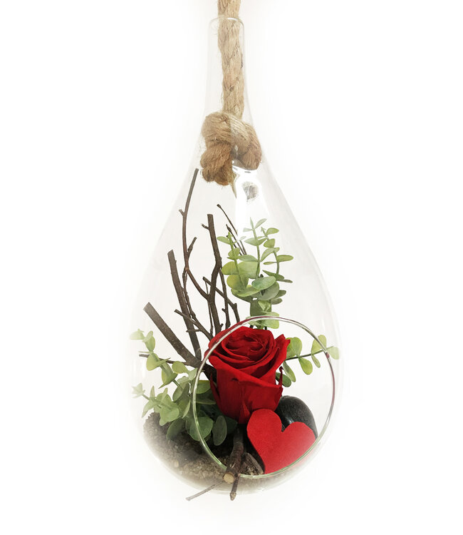 Signé Garneau L'éternelle