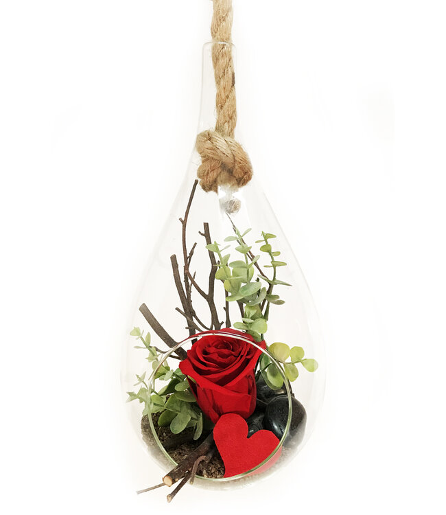 Signé Garneau L'éternelle