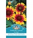 Mr. Fothergill's Gaillarde Torchlight