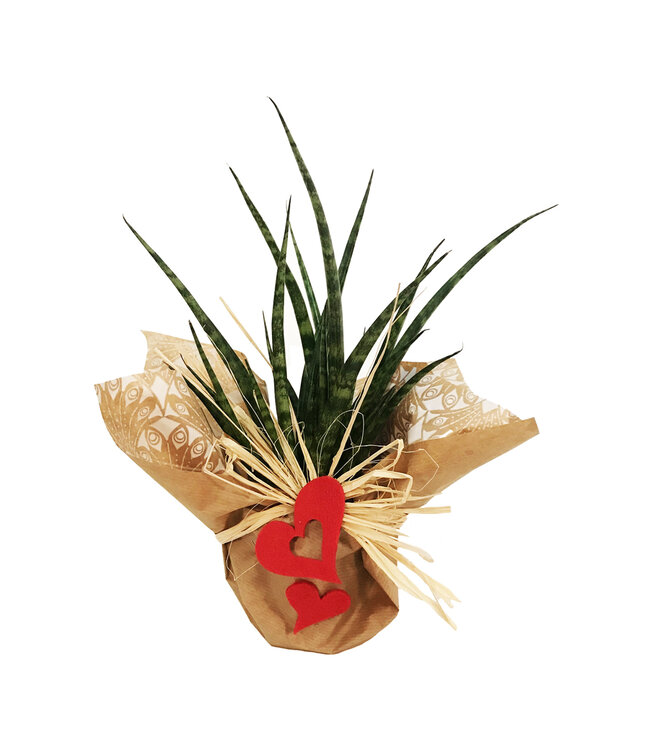 Signé Garneau L'amour de la belle-mère